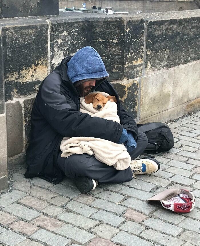 16. "Увидел этого человека с собакой, когда переходил мост в Праге. На улице было -4°C, а он использовал единственный плед, чтобы укутать собаку. Так поступают из настоящей любви"