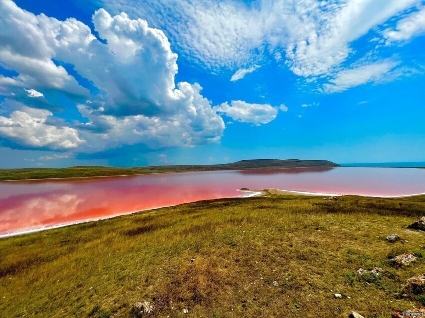 Кояшское озеро, Крым
