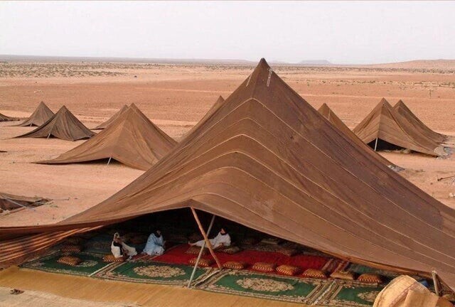 Палатки в которых живут бедуины в Сахаре