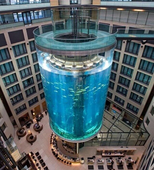 Аквадом в Берлине, Германия, представляет собой цилиндрический аквариум из акрилового стекла высотой 25 метров, со встроенным прозрачным лифтом