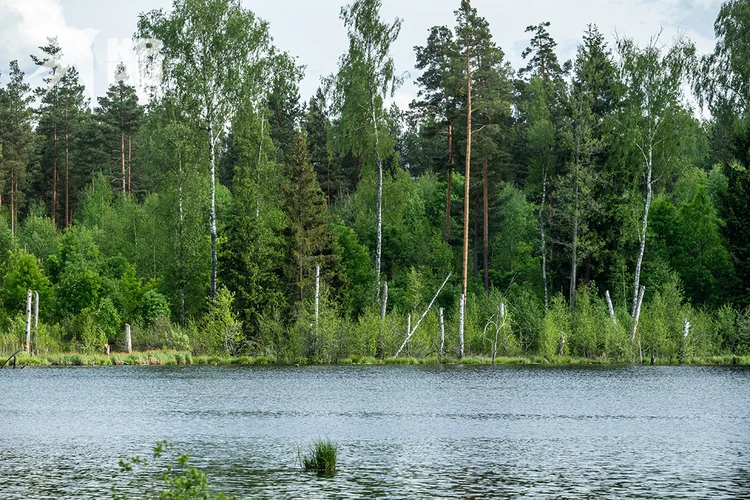 Нераскрытые тайны озера Смердячьего