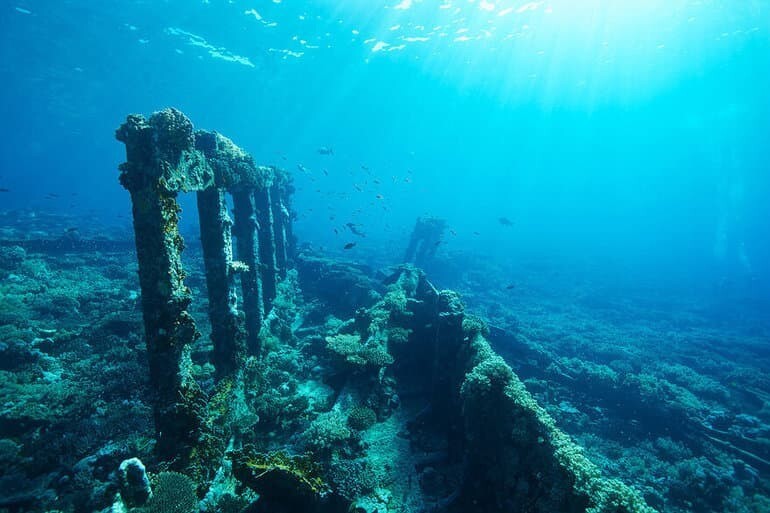 20 странных и пугающих фактов об океане, которые вы узнаете сегодня