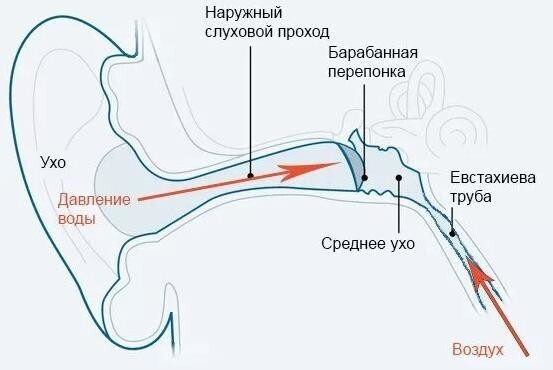 Зачем фридайверы закрывают друг другу рот рукой