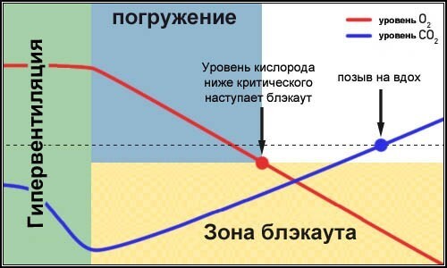 Зачем фридайверы закрывают друг другу рот рукой