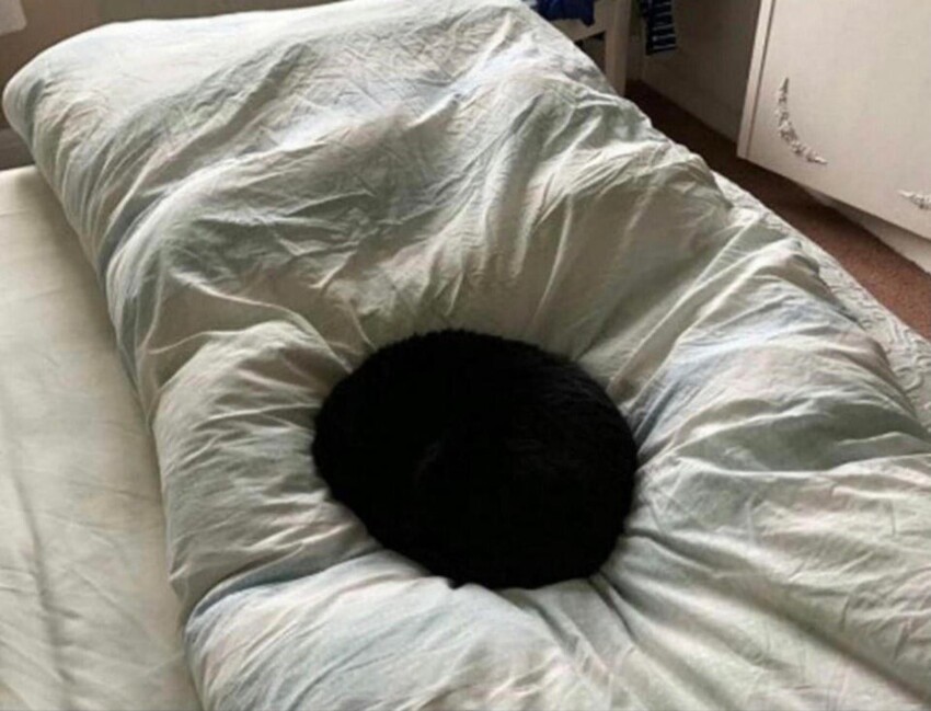 Черная дыра уже в твоей кровати