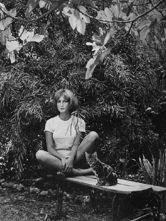  Мижану Бардо (младшая сестра Брижит) в Сен-Тропе, 1958 год