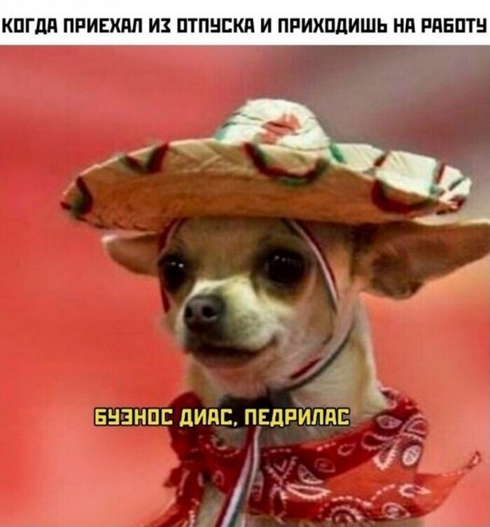 Всё вразнобой