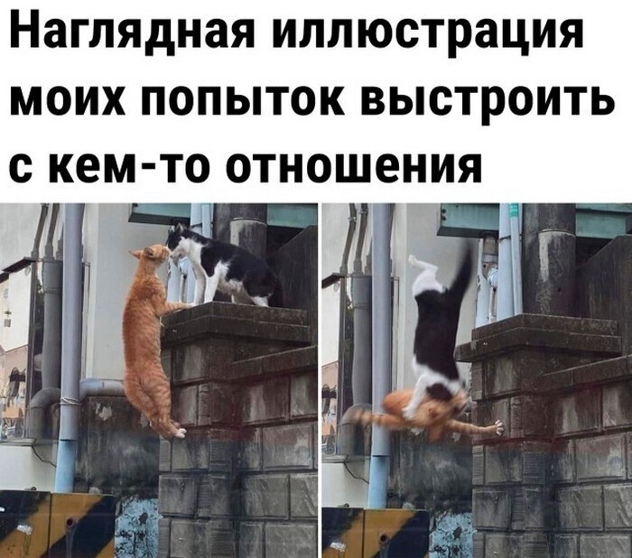 Всё вразнобой