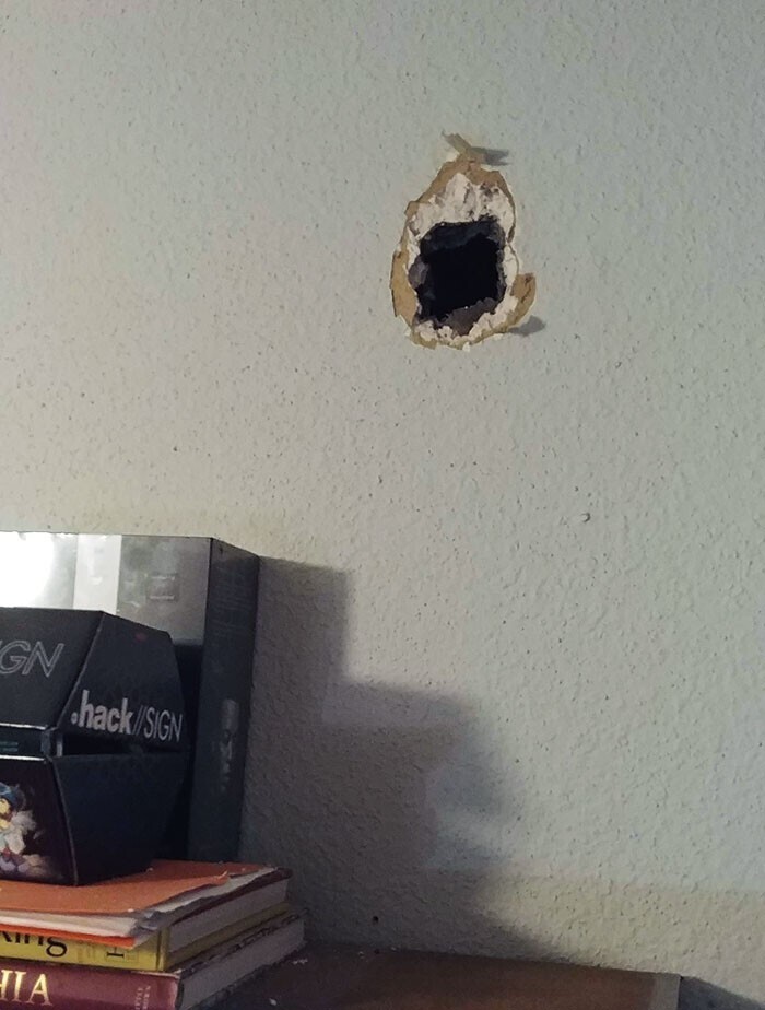 17. "Сосед прострелил дыру в стене нашей спальни прошлой ночью"