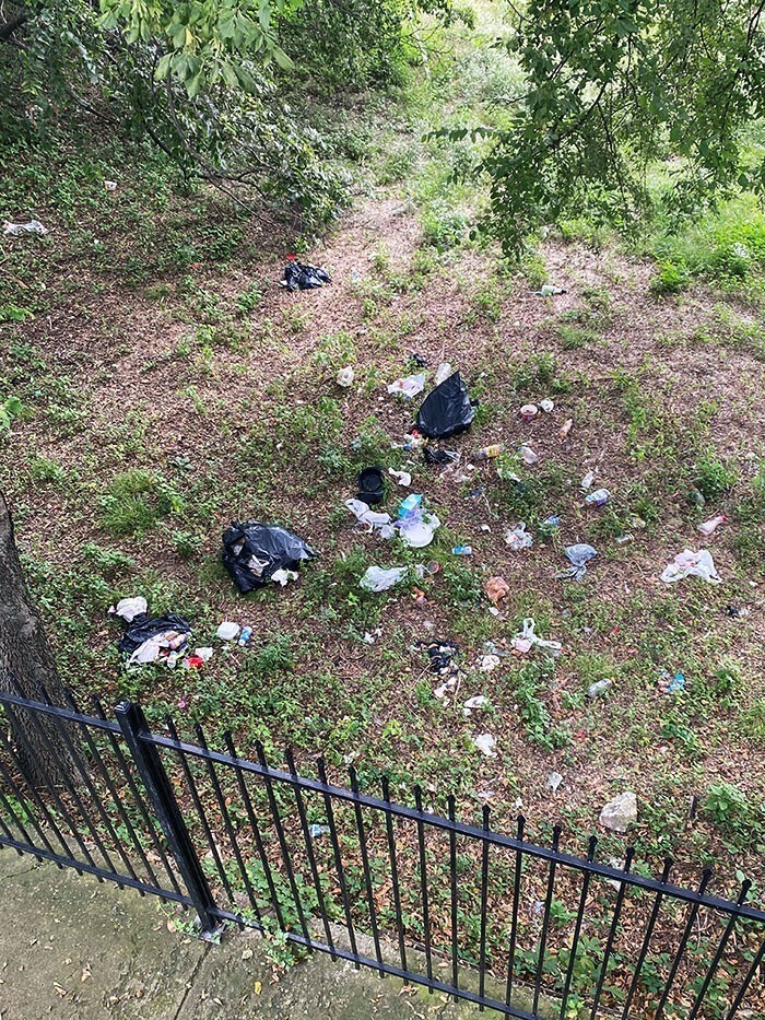 33. "Мои соседи выбрасывают мусор со своего балкона вместо того, чтобы дойти до мусорного бака. И делают это регулярно"