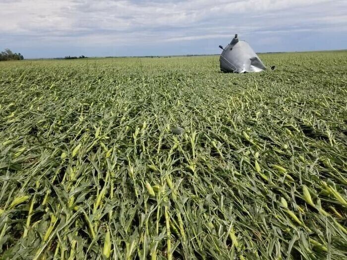 Кукуруза в Айове полегла после урагана