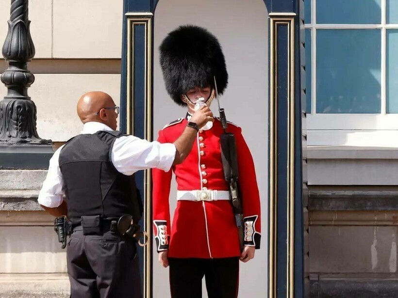 Шапка в 4 кг и обморок по правилам: факты о британской королевской гвардии
