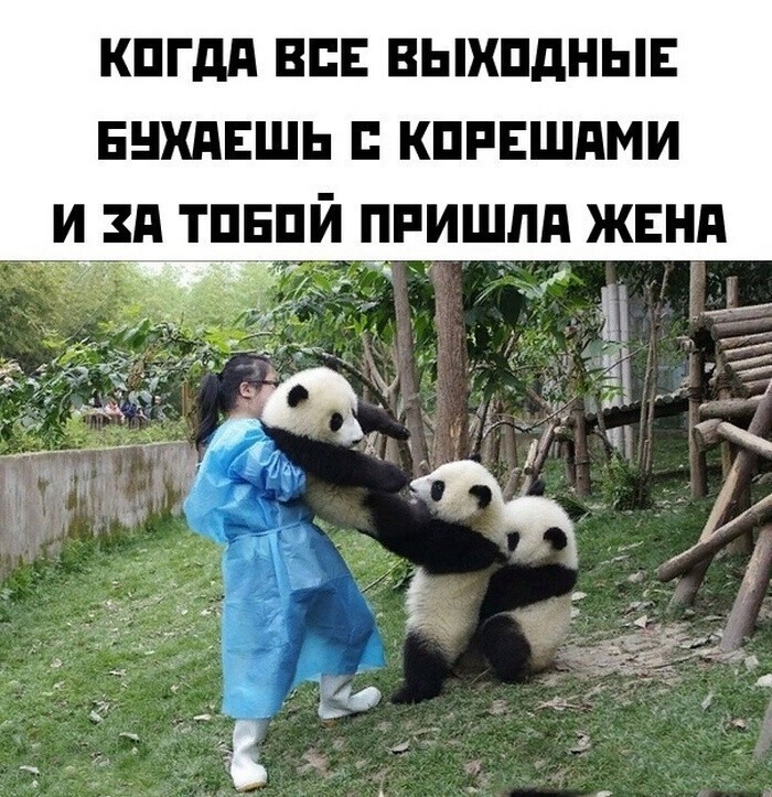 Всё вразнобой