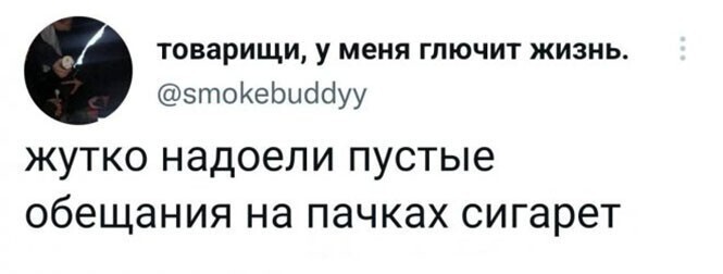 Смешные и познавательные картинки