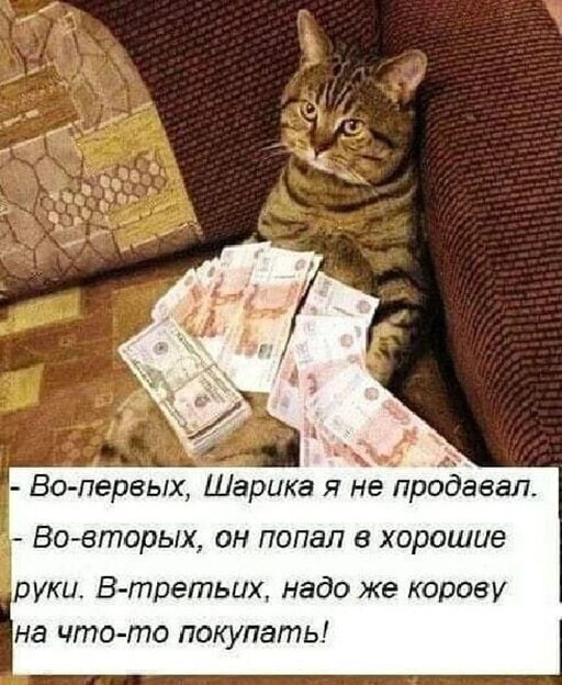 Смешные и познавательные картинки