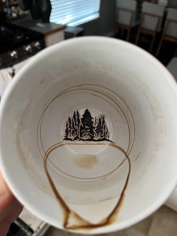 «Осадок на дне моей кофейной чашки похож на сосновый лес»