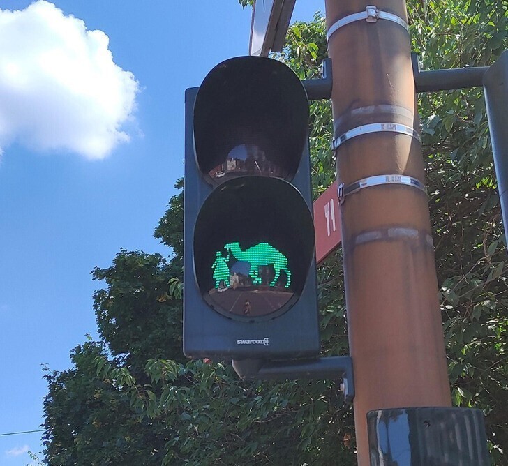 «На этом светофоре в Германии сигнальные огни сделаны в форме маленькой девочки с верблюдом»