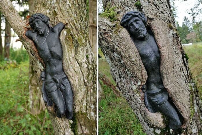 4. Скульптура Иисуса на заброшенном кладбище медленно поглощается деревом