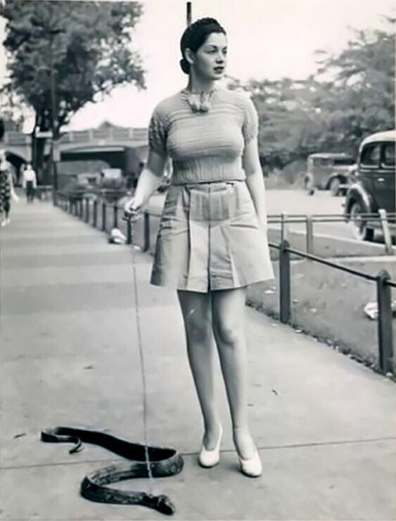 Танцовщица бурлеска мисс Зорита выгуливает свою змею, 1937 год