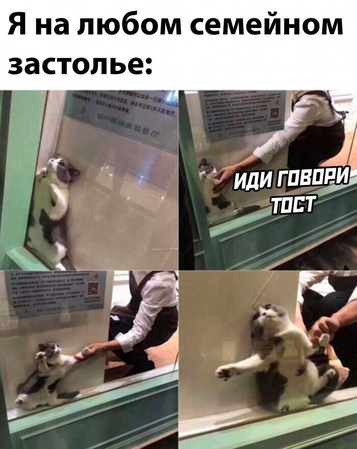 Намешалось