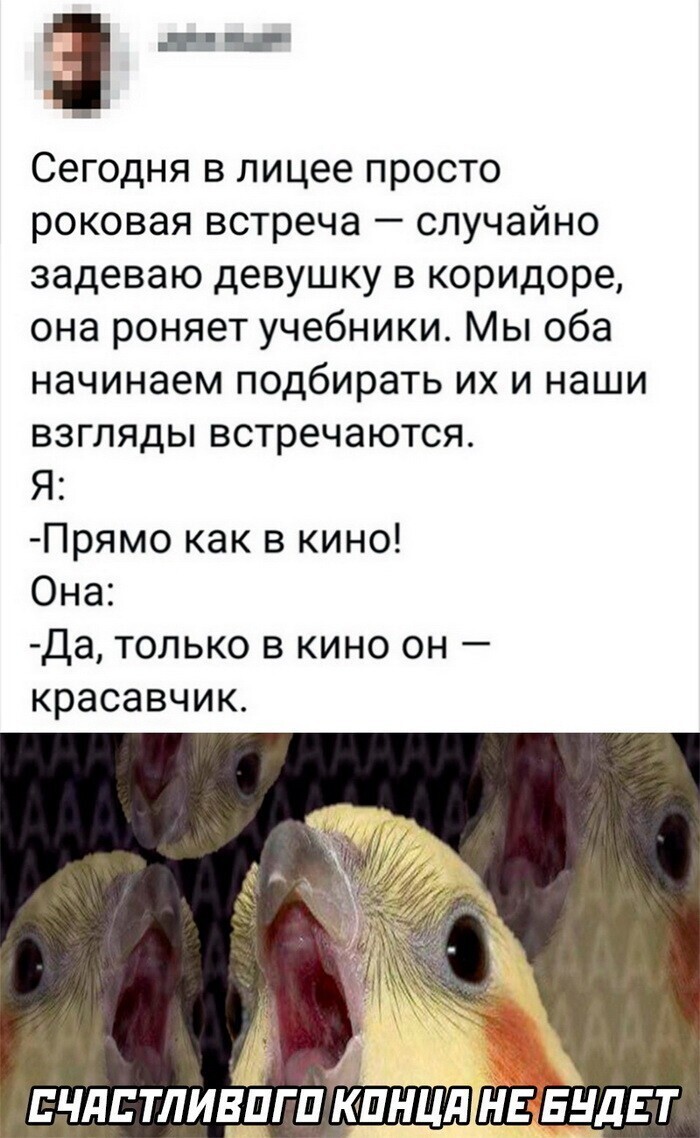 Скрины из соцсетей