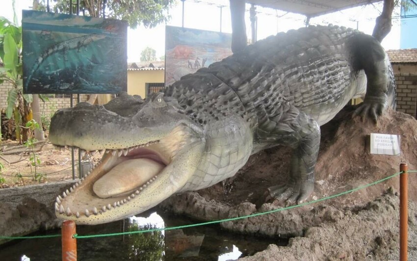 Древний крокодил весом больше автобуса и хваткой в 20 раз более сильной, чем у белой акулы