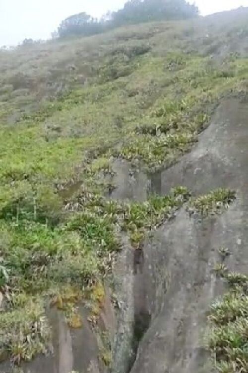 В Бразилии спасатели извлекли из глубокого ущелья абсолютно голого мужчину