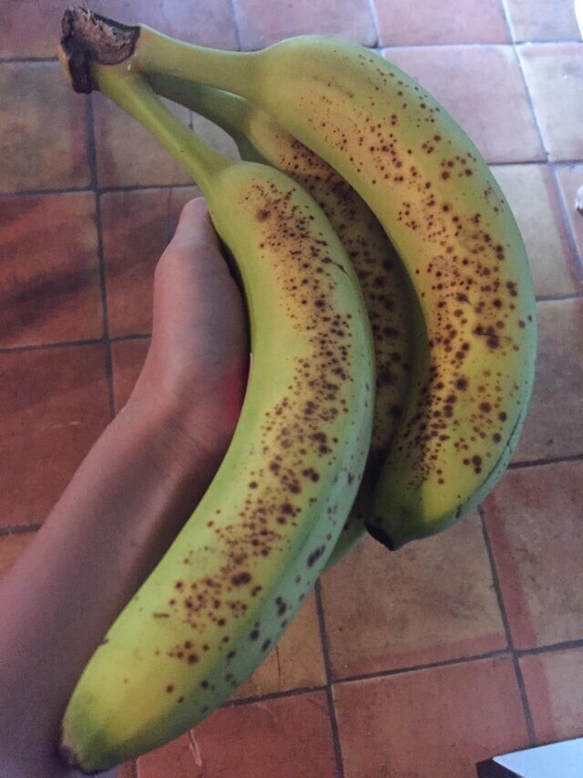 Эти бананы зелёные, и одновременно начали портиться