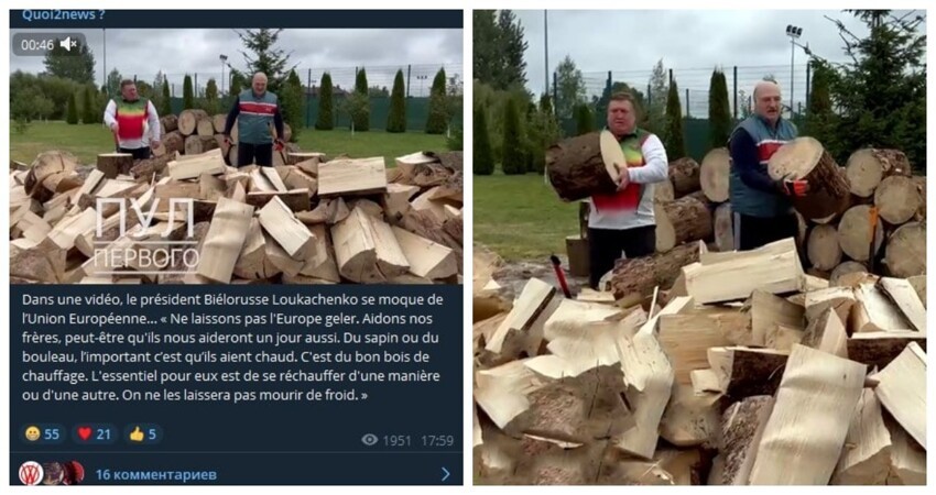 Лукашенко потроллил Европу дровами - сеть ответила пародиями и флешмобом