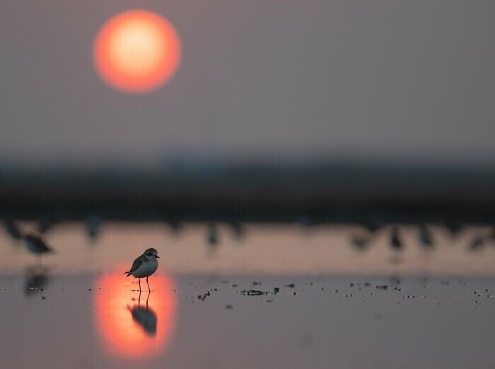 "На закате", фотограф Thamboon Uyyanonvara
