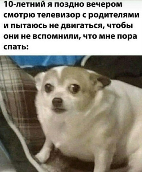 Субботний улыбальник