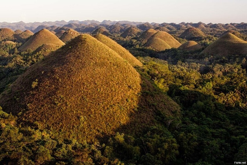 Шоколадные холмы — геологическое образование в филиппинской провинции Бохоль