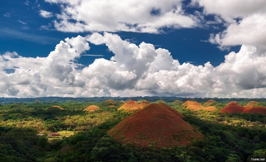 Шоколадные холмы — геологическое образование в филиппинской провинции Бохоль