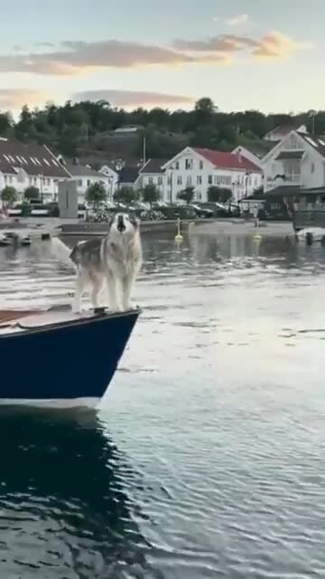 Необычный гудок на лодке 