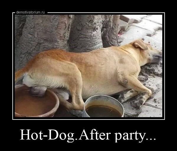 Hot-Dog.Аfter party...