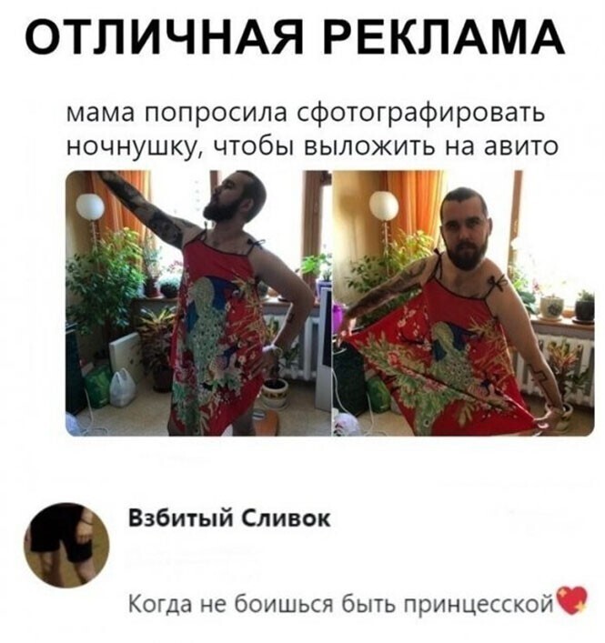 Смешные и познавательные картинки