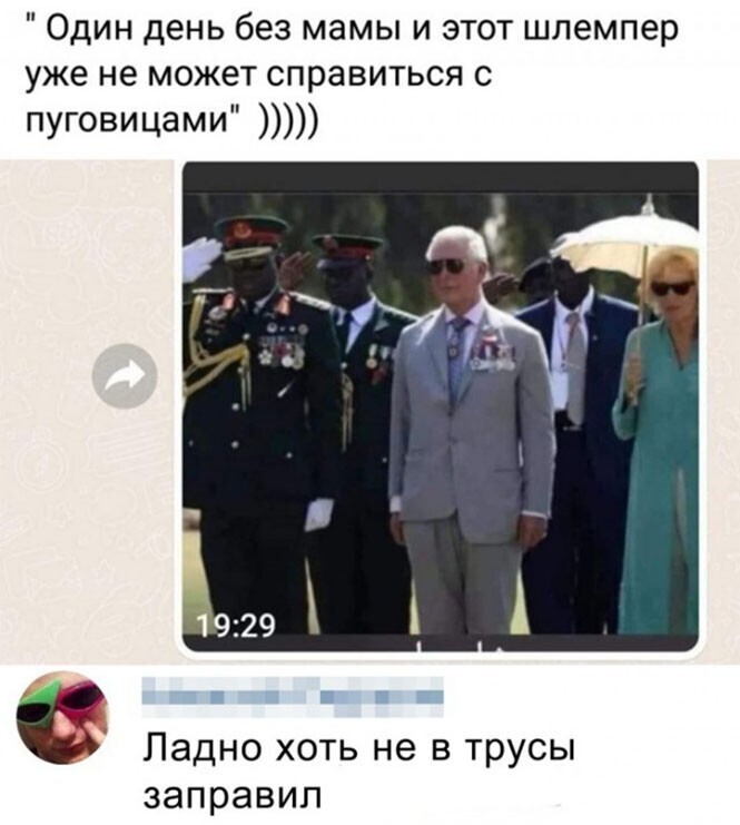 Смешные и познавательные картинки