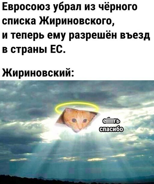 Смешные и познавательные картинки