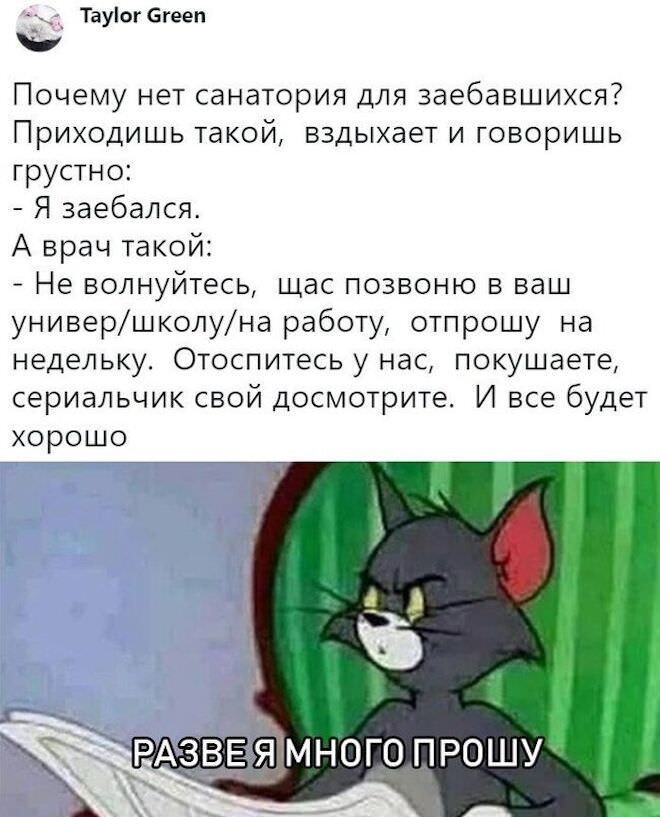 Скрины из соцсетей