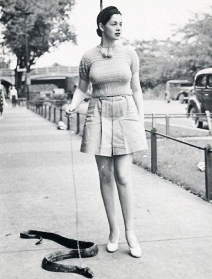 Танцовщица бурлеска мисс Зорита выгуливает свою змею, 1940-е годы
