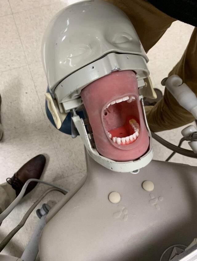 На этот раз тренажер из стоматологии стал объектом для шуток