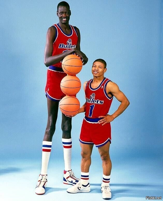 Баскетболисты "Вашингтон Буллетс" Манут Бол (231 см) и Маггси Богз (152 см), ...