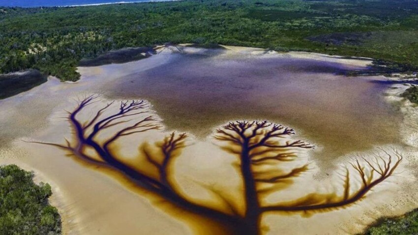 От «заблудших душ» из корней до облаков-цунами: удивительные оптические иллюзии, созданные природой