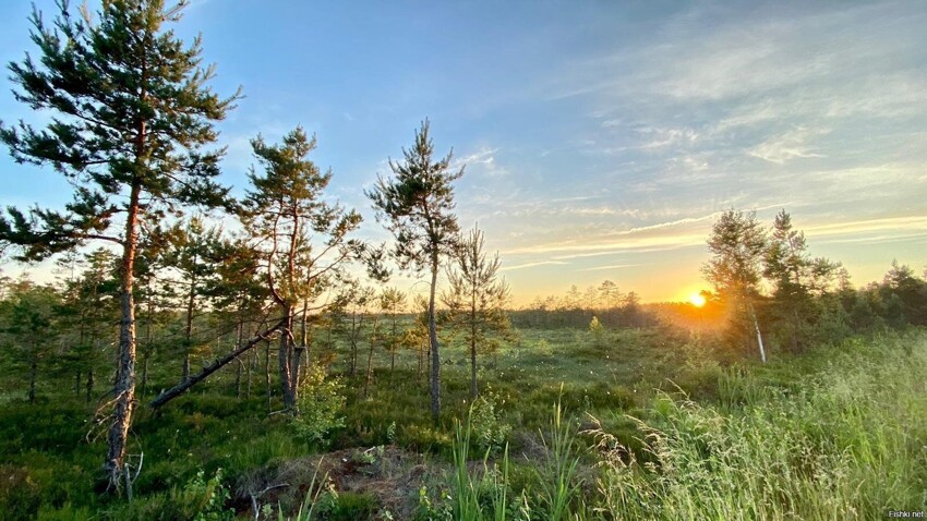 Несколько фоток этого лета