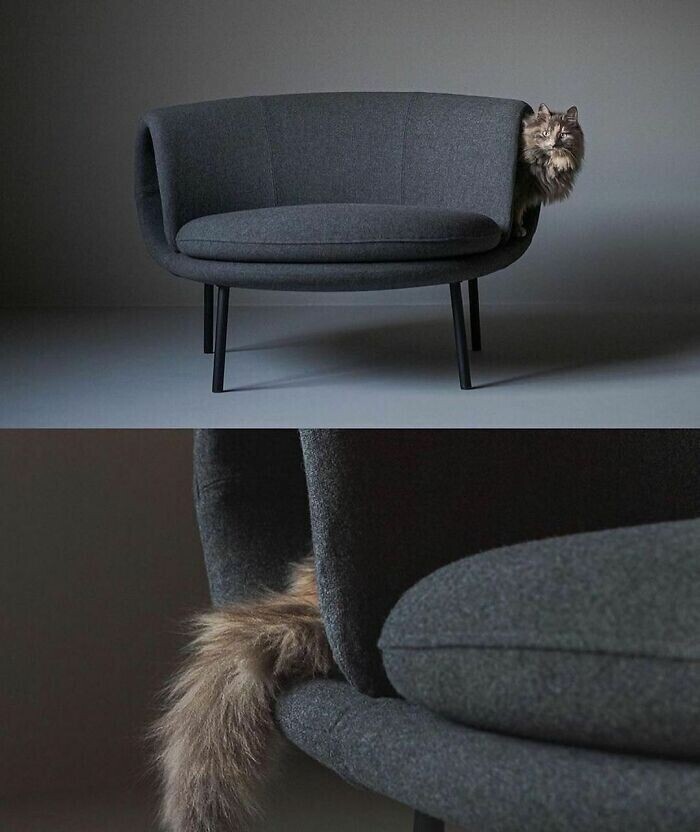 Кресло для тех, у кого есть кот