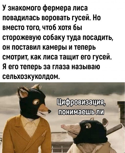 Смешные и познавательные картинки