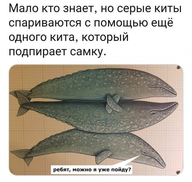 Не ищите здесь смысл. Здесь в основном маразм