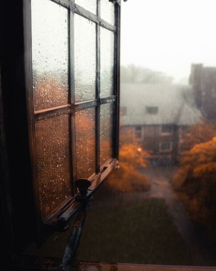 5. Вид из окна в дождливый день