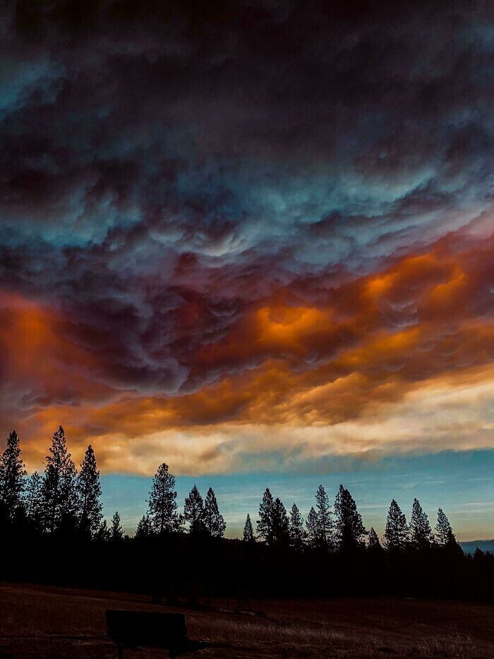 Туча, подсвеченная пламенем лесных пожаров в Калифорнии