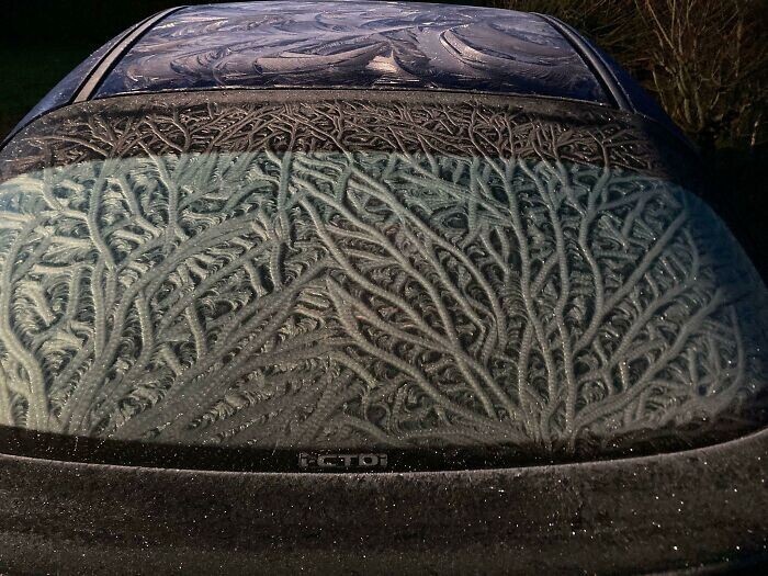 Такой узор образовался на стекле автомобиля после долгого дождя, сменившегося быстрым похолоданием до -1